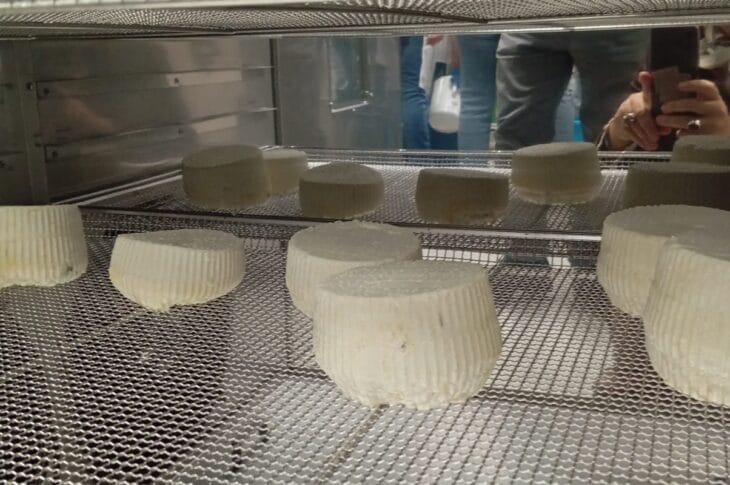 FOTO RICOTTA 1