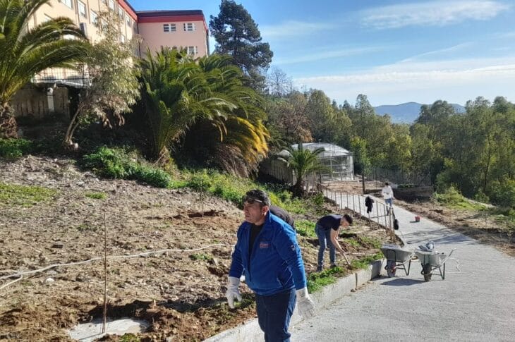 ASVAT2